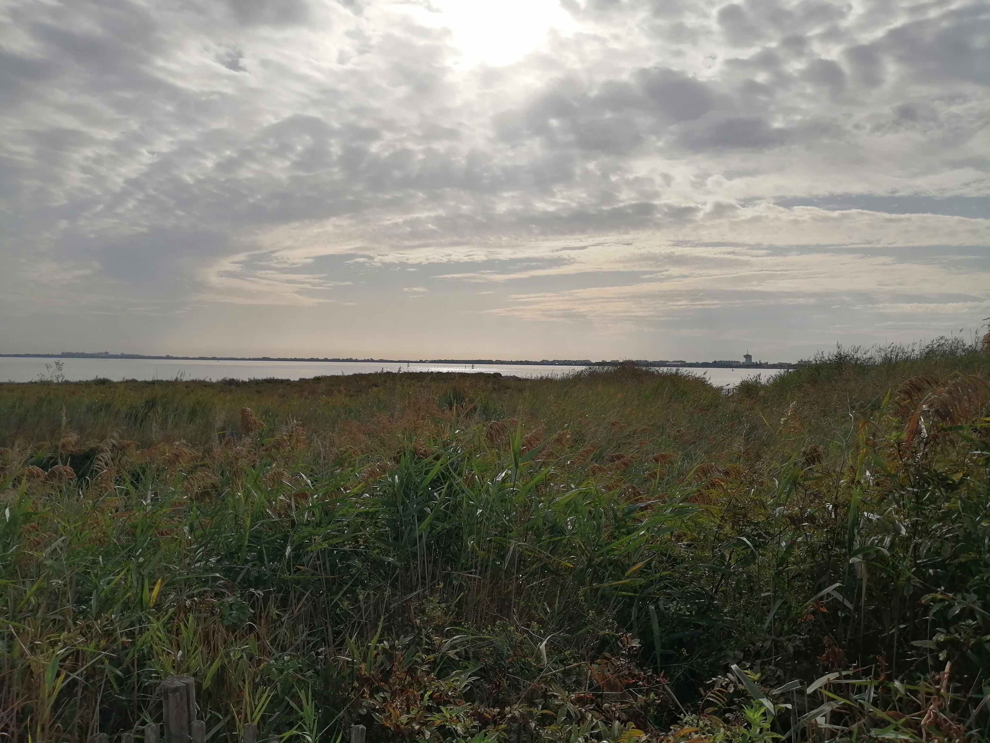 Photo n° 1 de l'avis de Calista.k fait le 23/09/2019 à 15:01