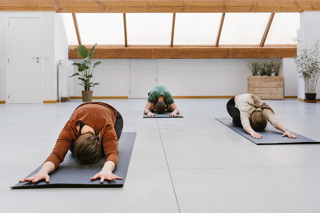 Sarasana Yoga • Yoga Saint-Gilles - Meditation - Respiration - Yoga studio