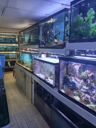Pet Store «Fish Bowl Aquarium & Pet Mart», reviews and photos, 725 Providence St, West Warwick, RI 02893, USA