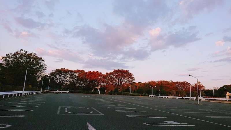 千葉県総合スポーツセンター大駐車場