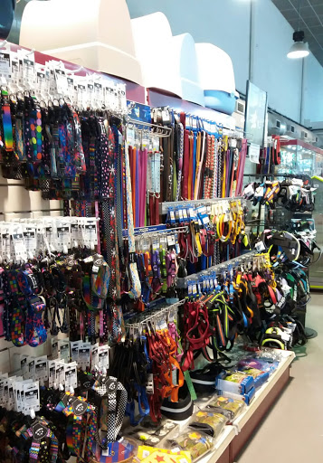 Calvet animals i plantes en Igualada, Barcelona