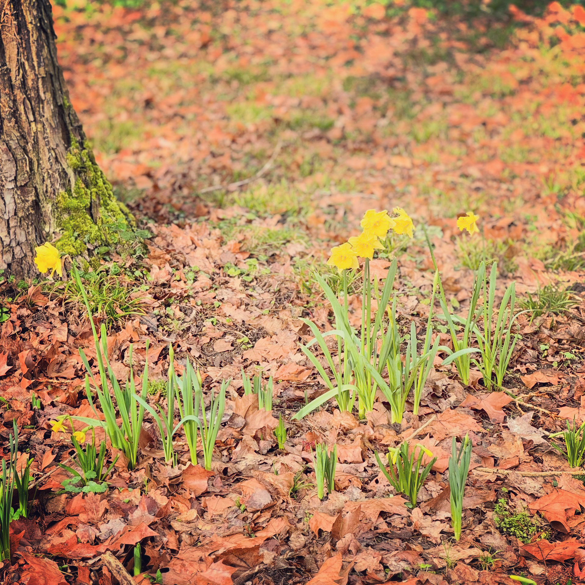 Photo n° 15 de l'avis de Daniel.e fait le 21/02/2024 à 22:23