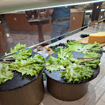 Photo n°1 de l'avis de Lars.a fait le 27/03/2024 à 19:26 sur le  Ilma à Limone Sul Garda