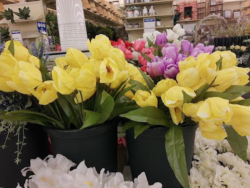 Craft Store «Hobby Lobby», reviews and photos, 3300 W Expy 83 #700, McAllen, TX 78501, USA