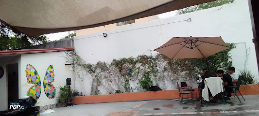 Jardín Terracota