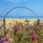 Photo n°1 de l'avis de Elanor74.m fait le 01/05/2018 à 14:24 sur le  Lido il Delfino - Bar Ristorante à Vasto