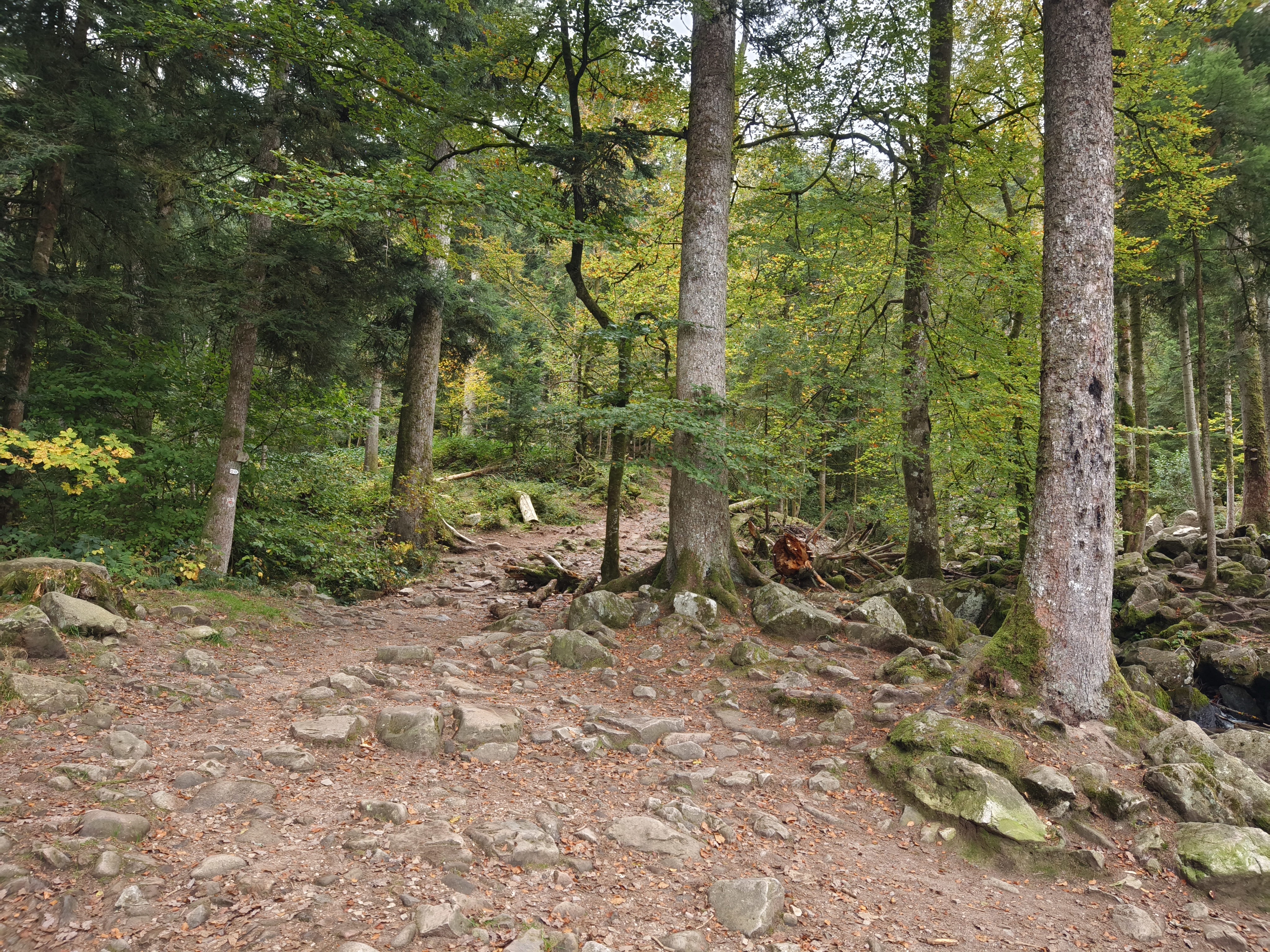Photo n° 13 de l'avis de Nicolas.h fait le 24/10/2023 à 20:35