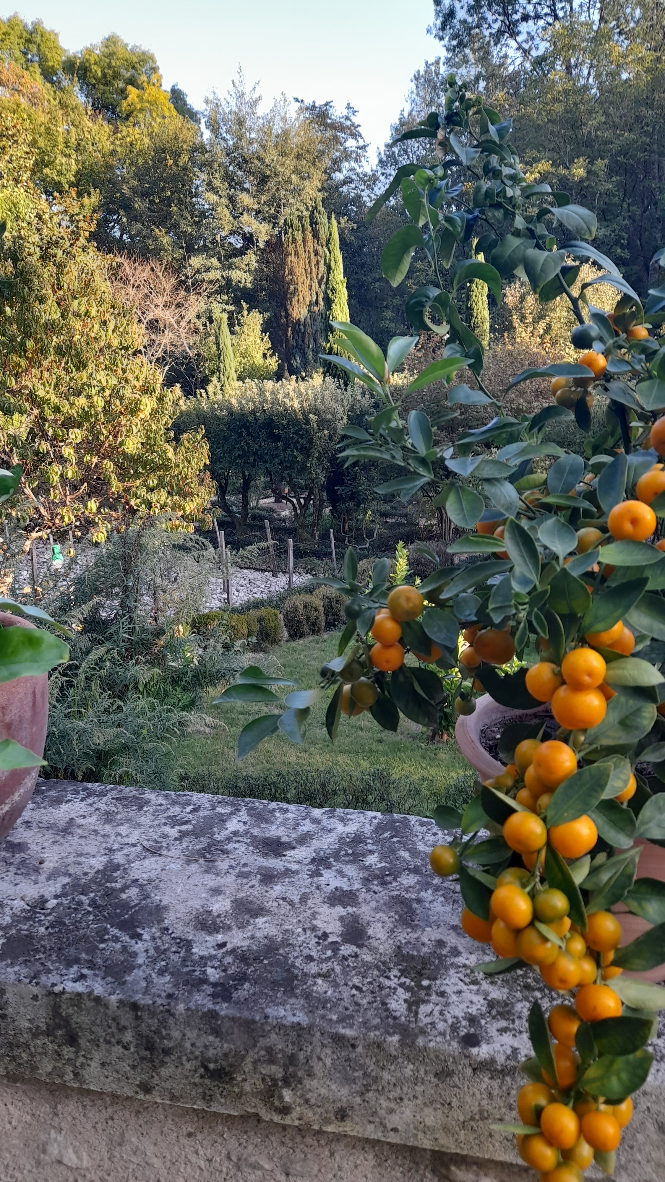 Photo n° 3 de l'avis de Catherine. fait le 11/10/2023 à 14:56