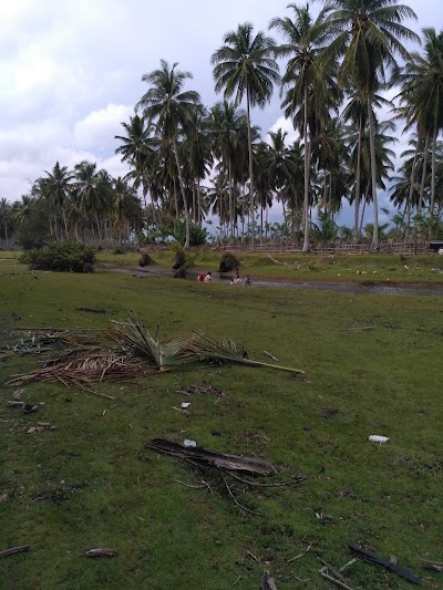 Photos of Perkebunan Kelapa Marvian