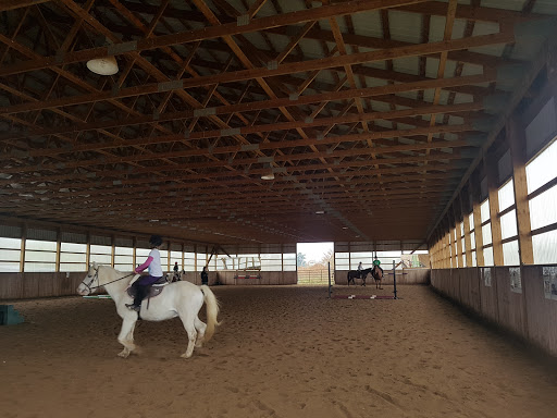 Horse riding school Mississauga