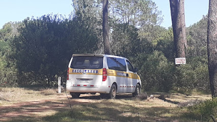 Transporte Escolar de La Paloma