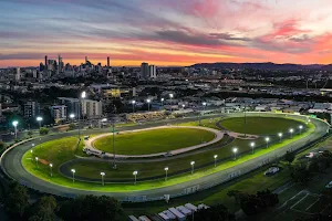 Albion Park Harness Racing Club image