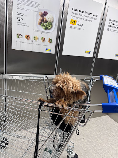 Furniture Store «IKEA Paramus Home Furnishings», reviews and photos, 100 Ikea Dr, Paramus, NJ 07652, USA