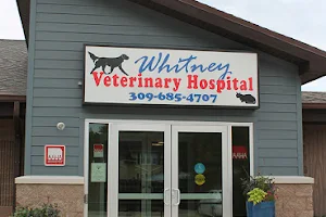 Whitney Veterinary Hospital image