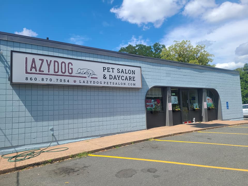 Lazy Dog Pet Salon & Daycare