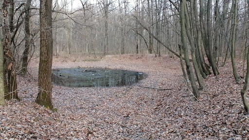 Witches Pond - Balta Vrajitoarelor