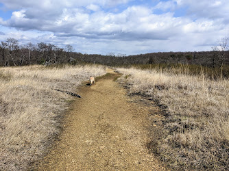 Soldiers Delight Natural Environment Area