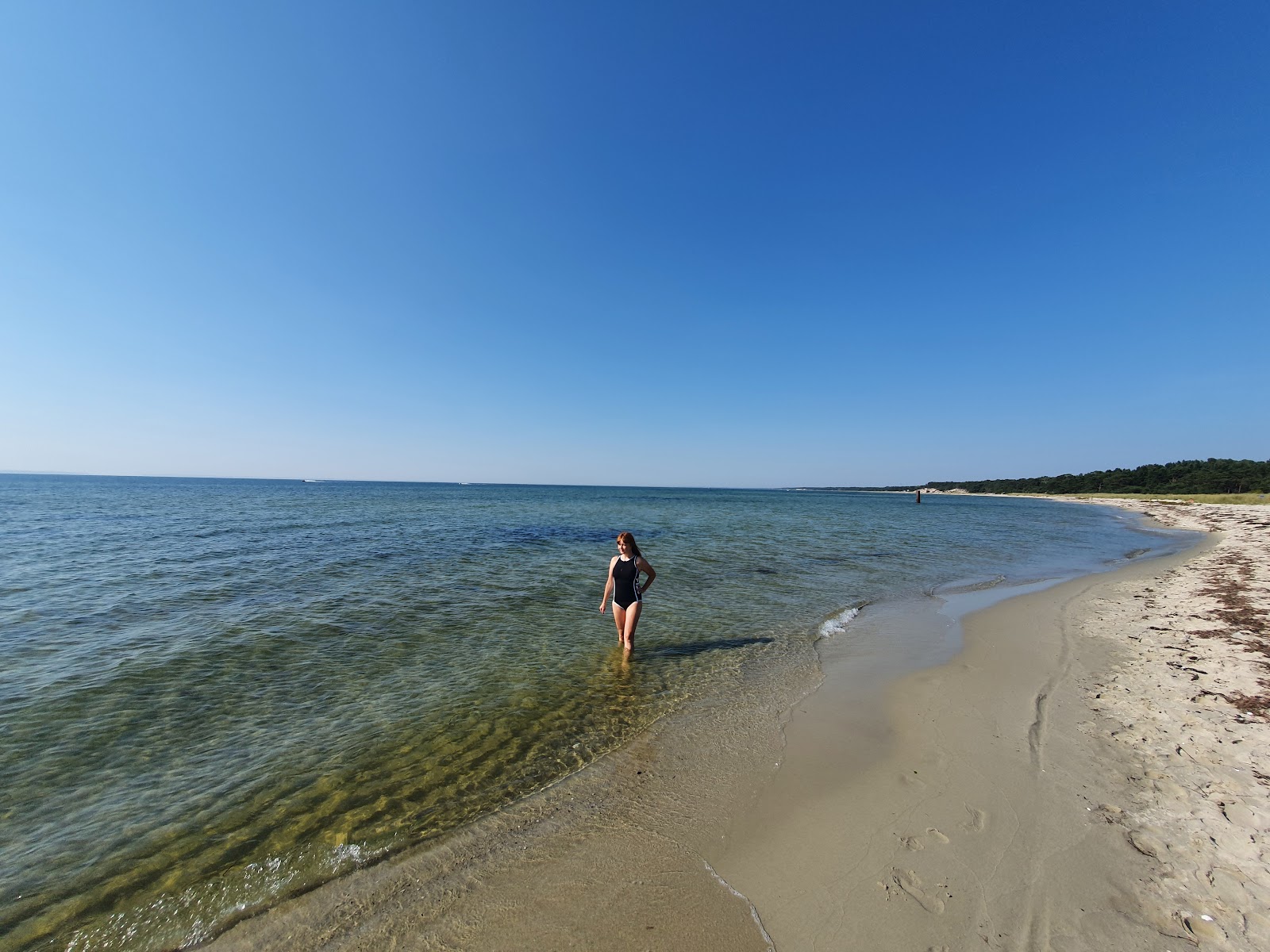 Fotografija Navy Base beach z svetel fin pesek površino