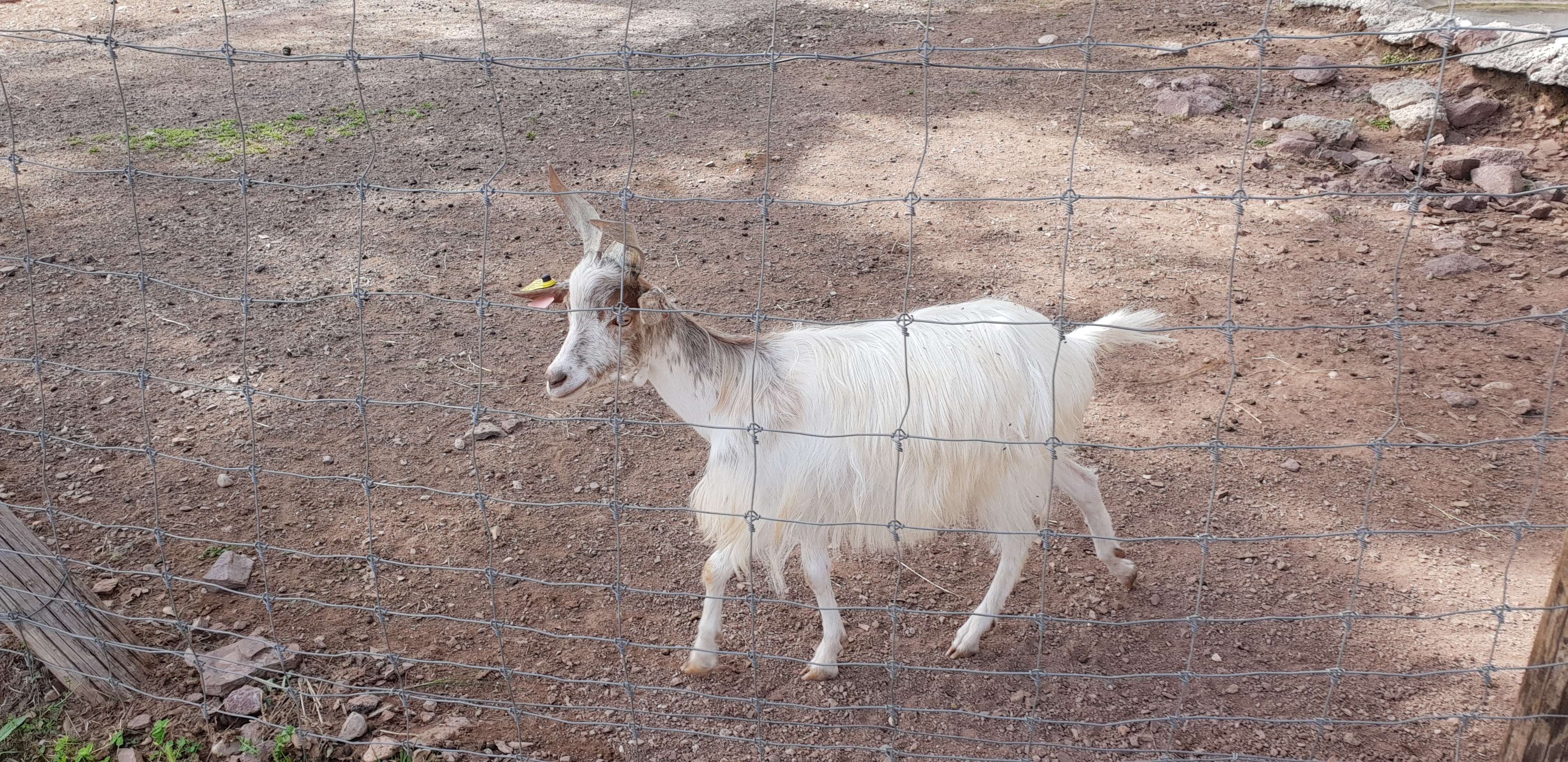 Photo n° 14 de l'avis de Anthony. fait le 11/06/2018 à 14:44