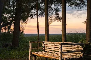 Leo Tolstoy's Bench image