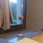 Photo n°1 de l'avis de Lorenzo.a fait le 11/09/2022 à 17:20 sur le  L'Oste de Senpìe à Monterosso Grana