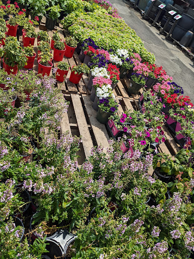 Home Improvement Store «Menards», reviews and photos, 2315 Merchant Mile, Columbus, IN 47201, USA