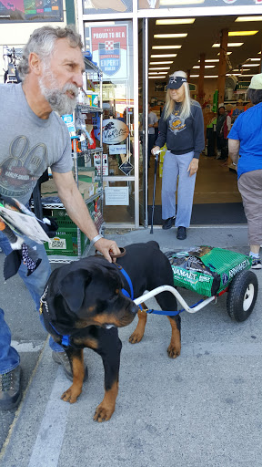 Pet Supply Store «Concord Feed Pet & Livestock Supplies», reviews and photos, 228 Hookston Rd, Pleasant Hill, CA 94523, USA
