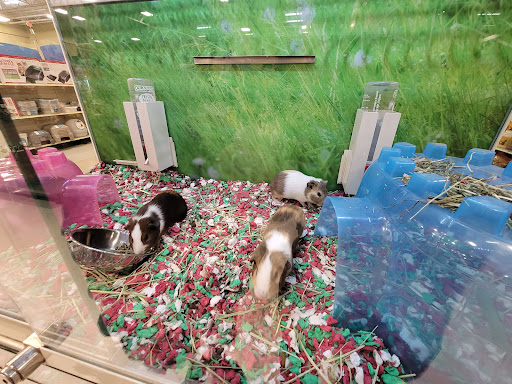 Pet Supply Store «PetSmart», reviews and photos, 3865 NY-31, Liverpool, NY 13090, USA