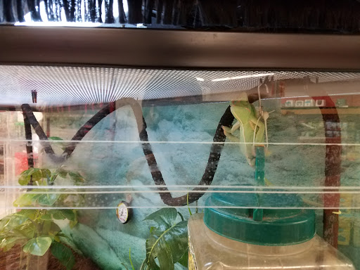 Pet Supply Store «Petco Animal Supplies», reviews and photos, 125 Lincoln Hwy, Exton, PA 19341, USA