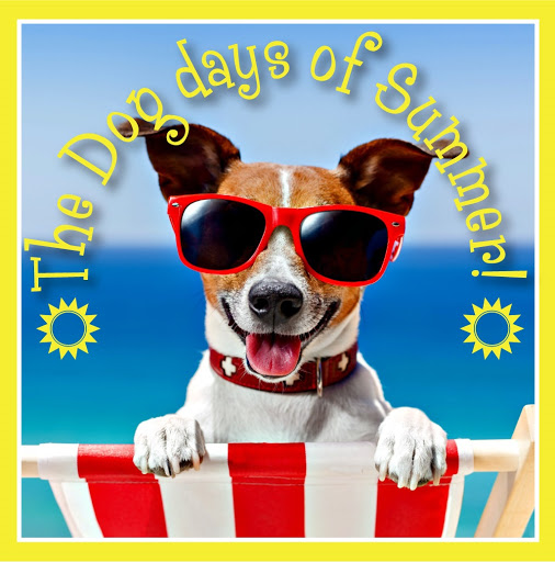 Criminal Justice Attorney «Conan & Herman Attorneys at Law», reviews and photos