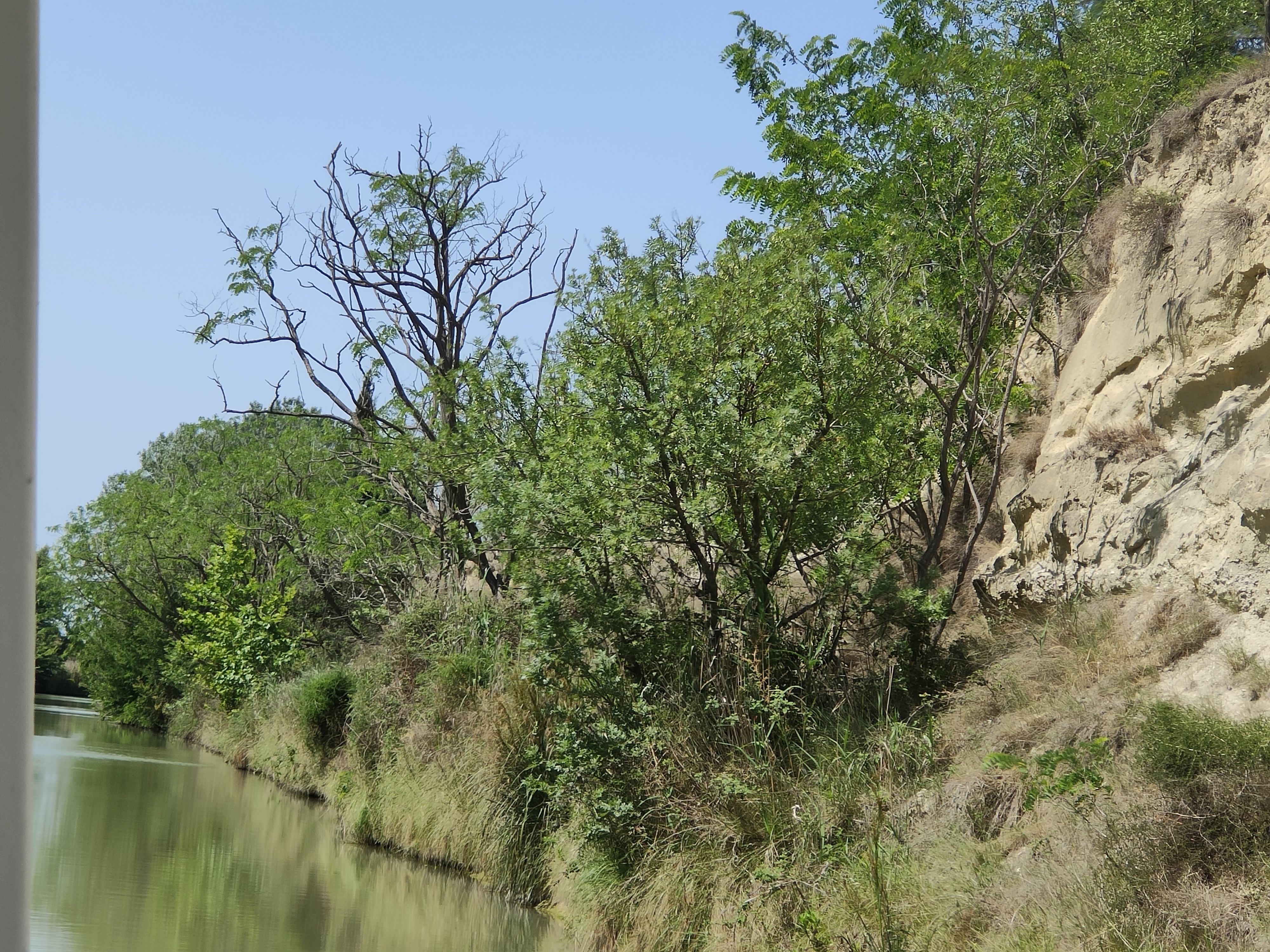 Photo n° 7 de l'avis de Eric.A fait le 27/05/2023 à 14:53