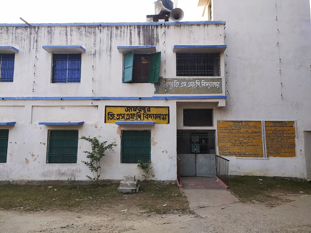 Jaffarpur gsfp school