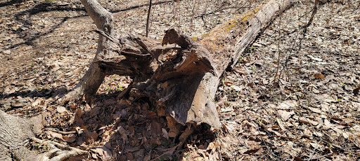 Battle Site «Paoli Battlefield Historical Park», reviews and photos, Monument Ave & Wayne Ave, Malvern, PA 19355, USA