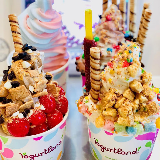 Yogurtland Chandler