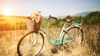 Les vélos de Créances à Créances