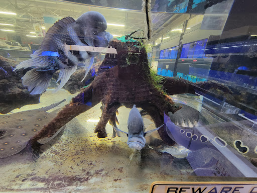 Pet Store «The Pet Zone», reviews and photos, 20 W Oak St, Pittston, PA 18640, USA