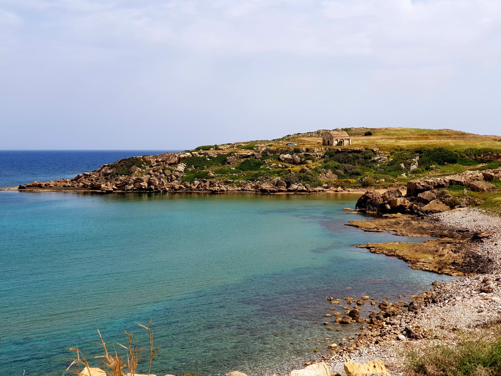 Kaplca Chipre Beach'in fotoğrafı vahşi alan