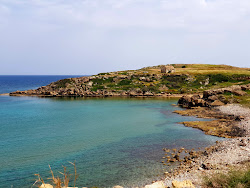 Kaplca Chipre Beach'in fotoğrafı vahşi alan