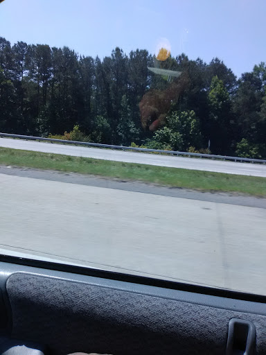 Used Car Dealer «National Auto Sales», reviews and photos, 831 Cobb Pkwy N, Marietta, GA 30062, USA