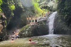 Maunawili Falls image