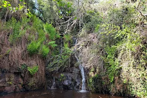 Cascada de la Gargantilla image