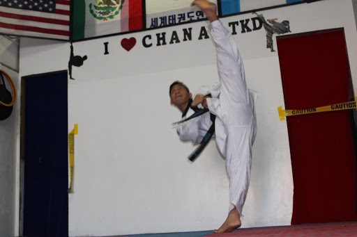 Chanax's Taekwondo Fighters