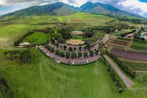 Maui Tropical Plantation image
