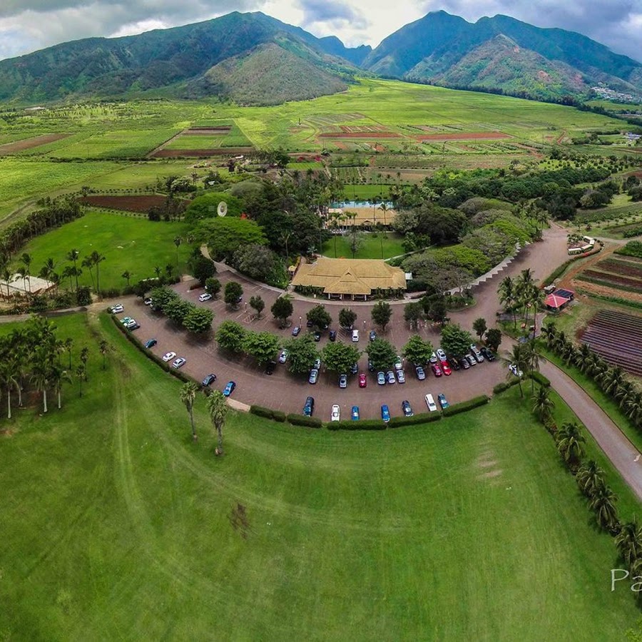 Maui Tropical Plantation