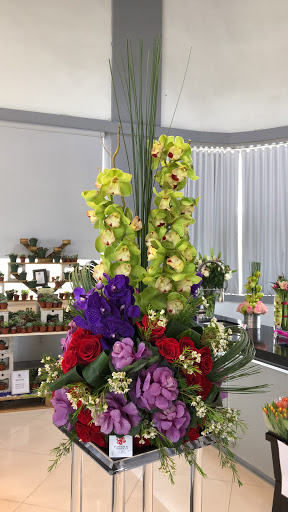 Florist «Flowers and Services», reviews and photos, 13750 Biscayne Blvd, North Miami Beach, FL 33181, USA