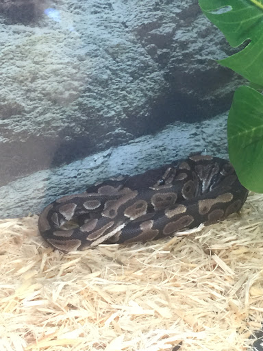 Pet Supply Store «Petco Animal Supplies», reviews and photos, 1320 E Lincoln Way p101, Sparks, NV 89434, USA