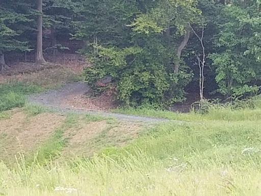 Golf Course «Gunpowder Golf Course», reviews and photos, 14300 Old Gunpowder Rd, Laurel, MD 20707, USA