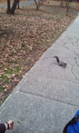 Park «Friends of Van Cortlandt Park», reviews and photos, 80 Van Cortlandt Park S, Bronx, NY 10463, USA