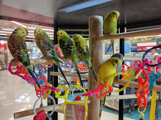 Pet Supply Store «Petco Animal Supplies», reviews and photos, 3270 N Pleasantburg Dr, Greenville, SC 29609, USA