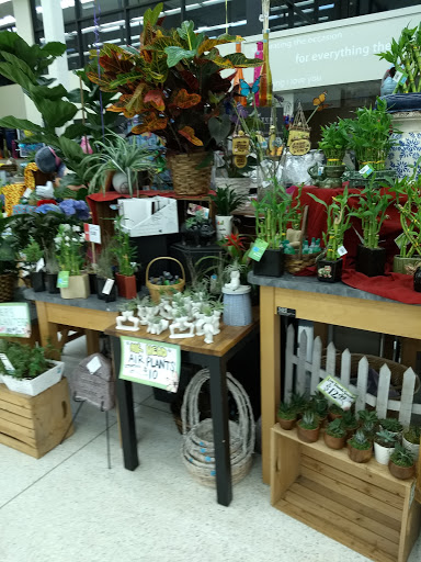 Supermarket «Hy-Vee», reviews and photos, 207 NE Englewood Rd, Kansas City, MO 64118, USA